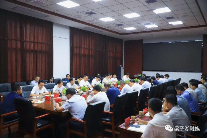 梁子湖区召开迎接第二轮省生态环境保护督察准备工作会议