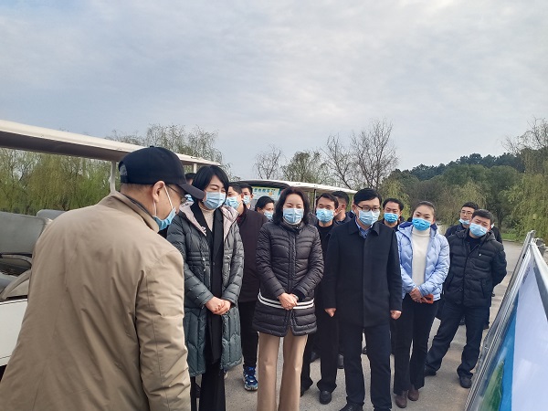 陈平到梁子镇调研梁子岛鄂旅投文旅项目-湖北省建设快讯-建设招标网