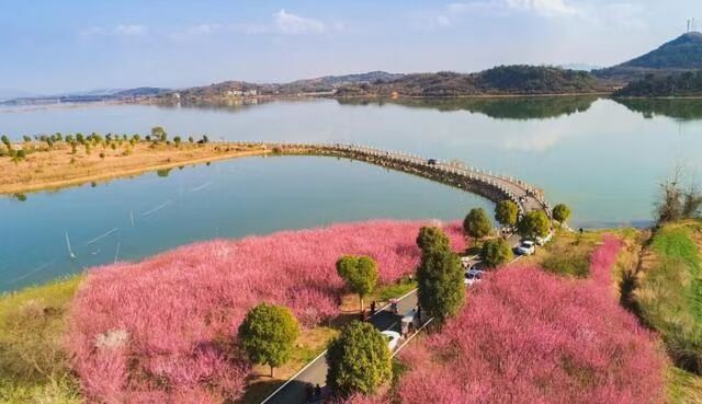 东沟镇大桥村梅花坞图片