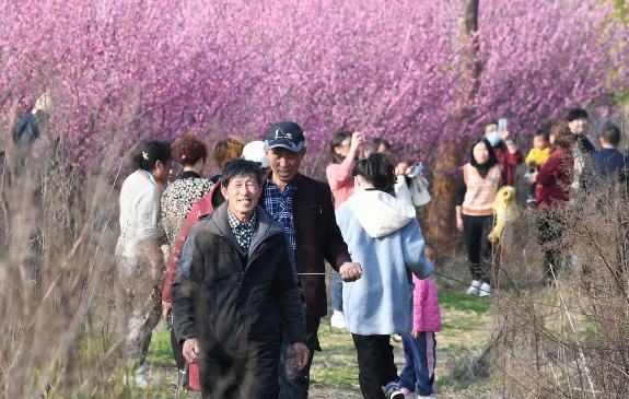 鄂州东沟镇大桥村花海图片