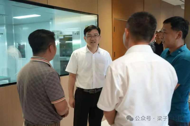 蔡和林调研重点项目建设和企业运营情况