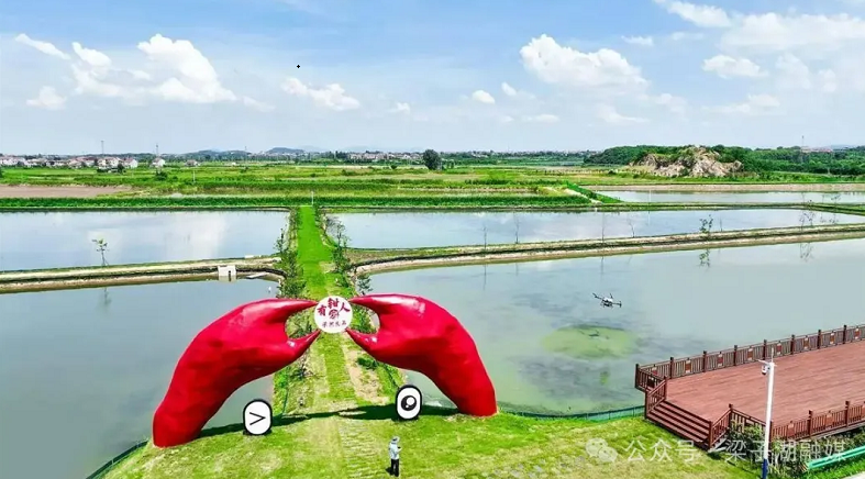 梁子湖螃蟹首次“出海”直通泰国餐桌 鄂州“梁湖良品”实现鲜活水产品跨境24小时达