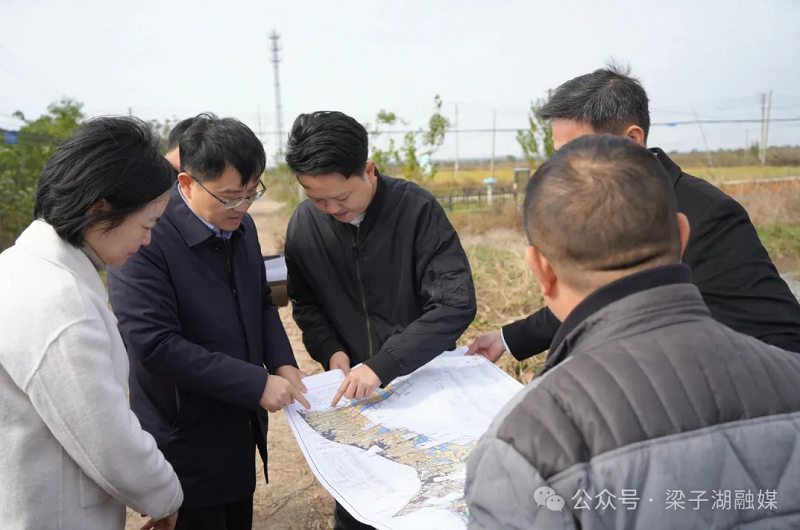 区领导调研高标准农田建设工作