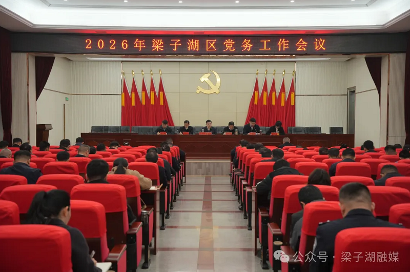 我区召开全区党务工作会议