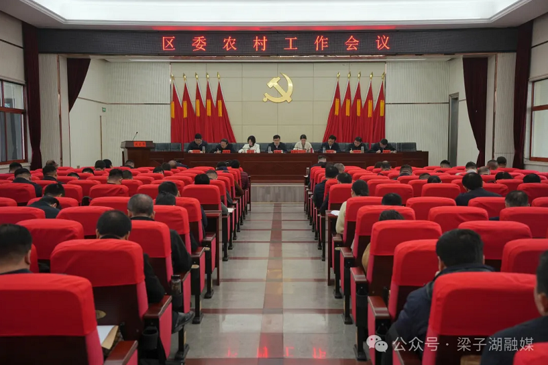 区委农村工作会议召开