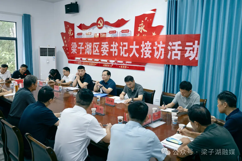 梁子湖区开展2026年第三季度“区委书记大接访“活动