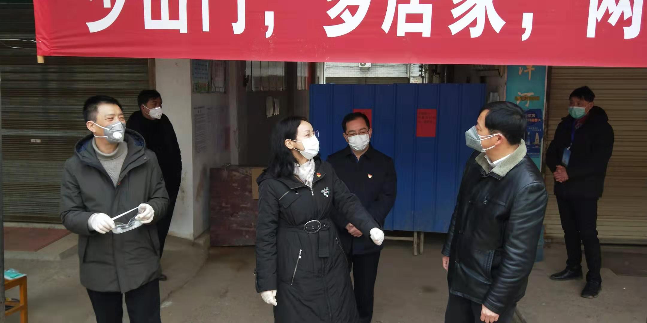 夏帆到东沟镇大桥村,东沟社区督查疫情防控工作