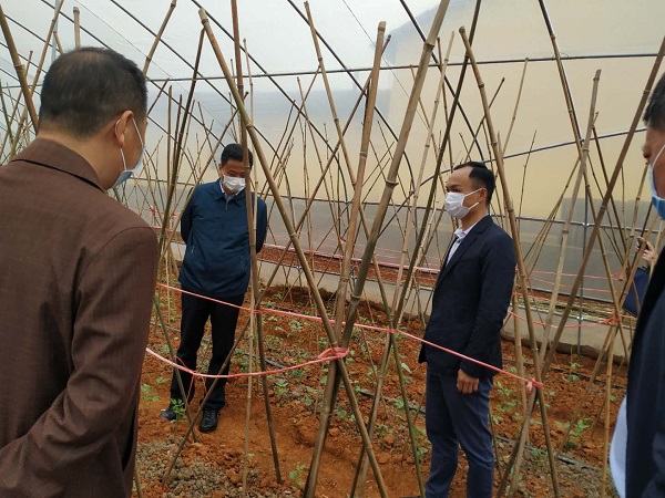 姜飞轮到东沟镇调研脱贫攻坚工作