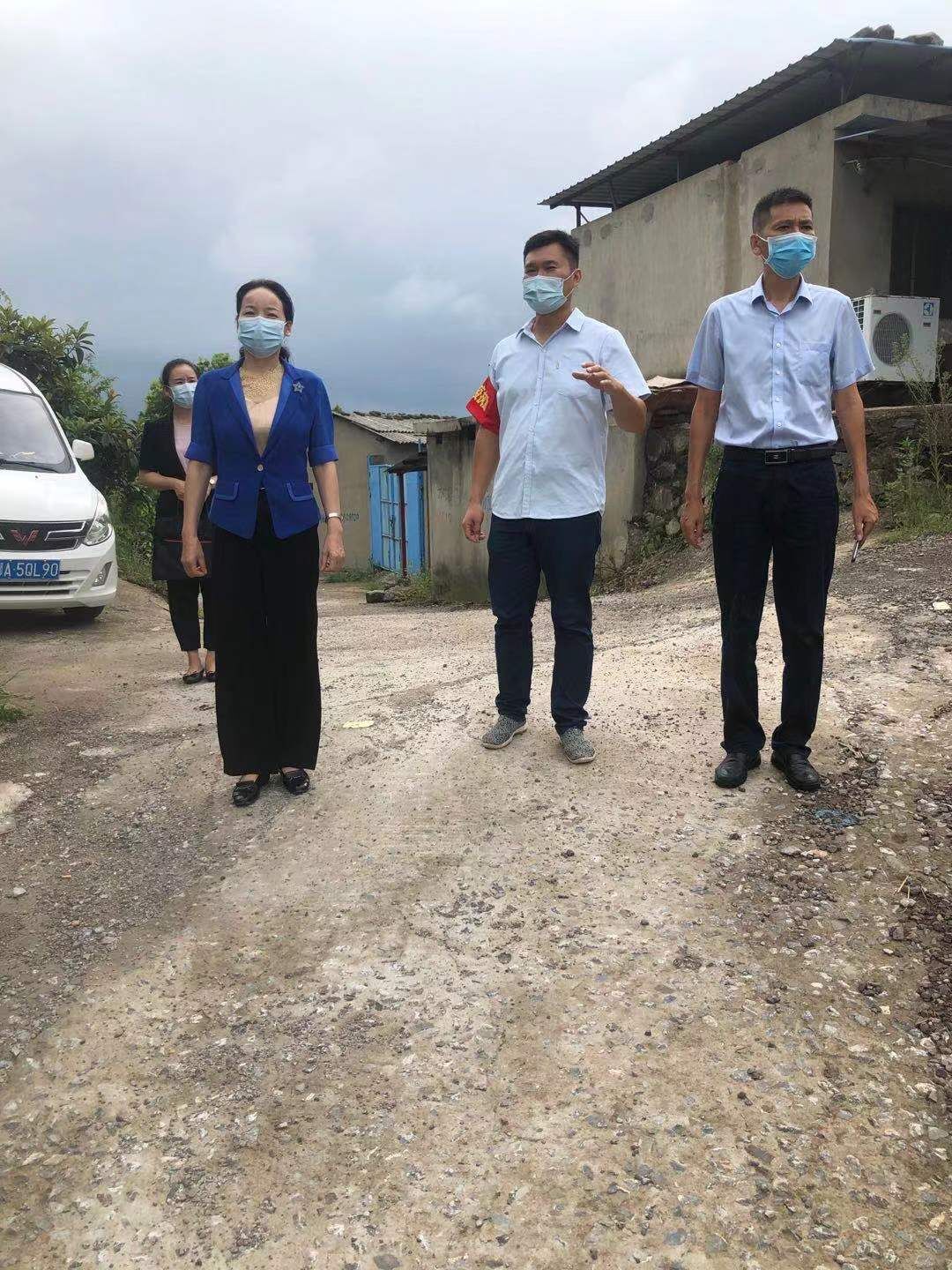 夏帆到太和镇上洪村检查疫情防控工作