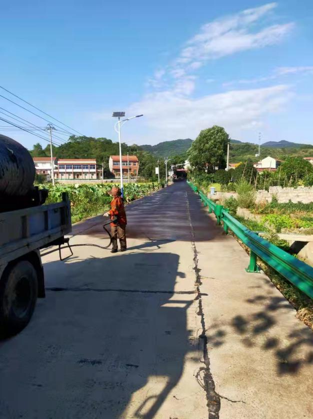 学党史 办实事|沼山镇杨井村进村道路提档升级 为民办事彰显担当