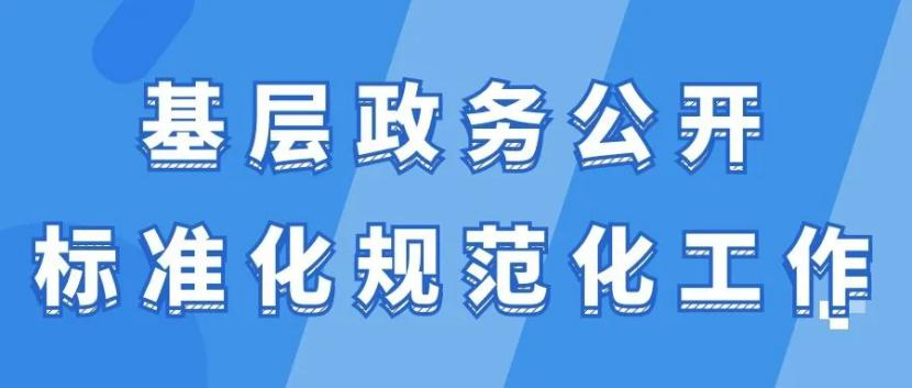 基层政务公开标准化