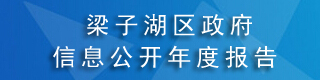 信息公开年度报告